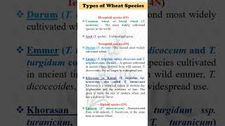 Polyploidy Species of Wheatagriculture [upl. by Lletnahc]