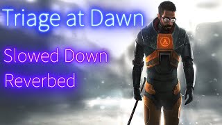 HalfLife 2 OST  Triage at Dawn Slowed Down Reverbed [upl. by Jocelyn730]