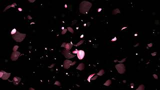 Falling Rose Petals Background Video Animation  Motion Background Loop  No Copyright [upl. by Henderson646]