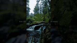 Baarish Lyrics  Yaariyan  Rain Video 🌧️  Nature Status  Love Song shorts [upl. by Kcirdneked]