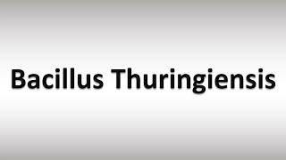 How to Pronounce Bacillus Thuringiensis [upl. by Cecily]