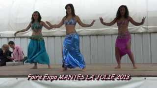 Foire Expo Mantes la Jolie 2013  Danse 2 [upl. by Anoyet]