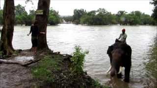 Coorg  Dubare Elephant Camp Jungle Lodges and Resorts [upl. by Ynamreg384]