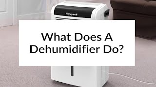 What Does A Dehumidifier Do  Sylvane [upl. by Eldrida442]