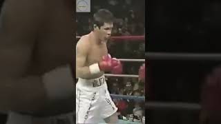 JCChávez vs Roger Mayweather 2 [upl. by Tiena454]