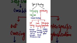 Types of Hybridization in Plant BreedingWhat is the difference bw inbreeding amp outbreeding shorts [upl. by Hynda]