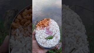 ഒരു variety മീൻ പിടിത്തംfishhuntingriverkeralafood palakkadfoodiesshortfeed [upl. by Rodama]