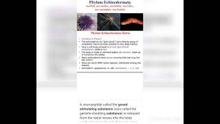 endocrine system to echinoderms and insects [upl. by Fasano775]