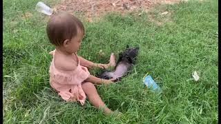 puppies enjoy playing funny with baby [upl. by Alon]