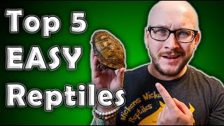 Top 5 Low Maintenance Easiest Least Time Consuming Reptiles [upl. by Mansfield]