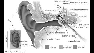 Cure Hearing Loss  Tinnitus Subliminal [upl. by Canning]