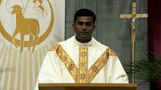 Catholic Mass Today  Daily TV Mass Monday November 11 2024 [upl. by Demetri]