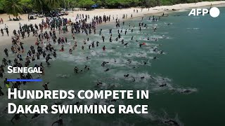 Hundreds compete in Senegal sea swimming race  AFP [upl. by Lukey]