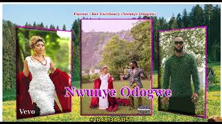 Flavour  Her Excellency Nwunye Odogwu Official video [upl. by Nylsaj166]