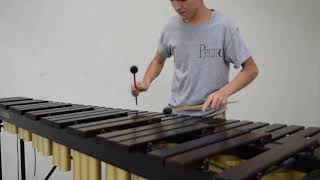 Summer Vivaldi Presto  Marimba [upl. by Einej]