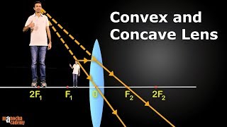 Convex and Concave Lenses [upl. by Ginnie]