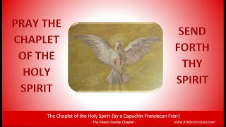 Pray the Chaplet of the Holy Spirit [upl. by Weixel793]