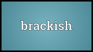 Brackish Meaning [upl. by Namlaz81]