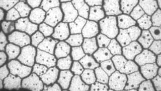 Starch columnar joints drying rate controlled experiment [upl. by Eustache]