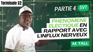 SVT  TS2  PHENOMENE ELECTIQUE EN RAPPORT AVEC LINFLUX NERVEUX LECON 4  PARTIE 4 [upl. by Aehtla]