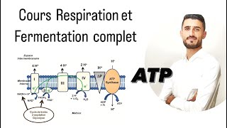 Cours Complet Consommation de la matière organique et flux d’énergie ATPRespirationfermentation [upl. by Hein884]