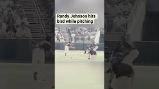 Randy Johnson Hits Bird With Baseball [upl. by Atinev]