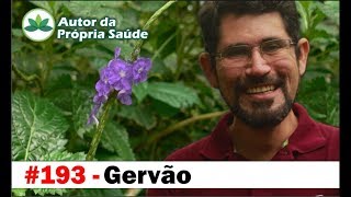 Autor da Própria Saúde  Gervão gastrite diabetes malaria leishmaniose [upl. by Vacla]