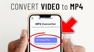 How to Convert Video to MP4 online [upl. by Glenda]