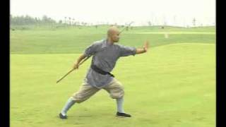 Master Shi Guo Song Shaolin Qimei Cudgel Demonstration [upl. by Kahler]