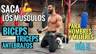 Ejercicios de BRAZOS entrena tus Bíceps Tríceps y Antebrazos 25 Min Rutina para SACAR LOS MUSCULOS [upl. by Belsky]