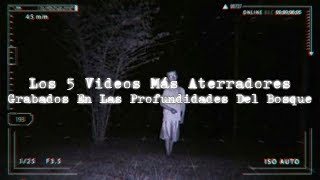 Los 5 videos más aterradores grabados en las profundidades del bosque [upl. by Nodnart981]