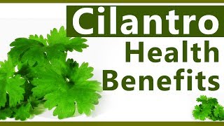 Top 10 Benefits of Cilantro  Uses Coriander or Cilantro leaves  Healthy Reasons to Eat Cilantro [upl. by Nnyledam852]