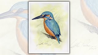 Paint a Kingfisher in Watercolours with Matthew Palmer [upl. by Alleyne]