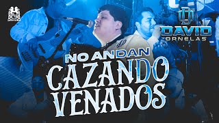 David Ornelas  No Andan Cazando Venados En Vivo [upl. by Ecirtal81]