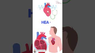 ECHOCARDIOGRAM [upl. by Burrows]