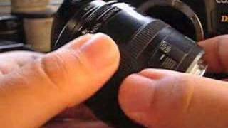 Canon EF 50mm f25 Compact Macro Lens Review [upl. by Yrogiarc]