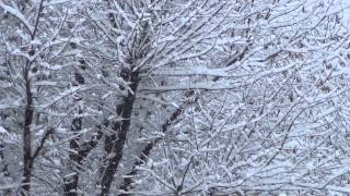 Nevicata a milano  131415 dicembre 2012 FullHD [upl. by Jamnes]