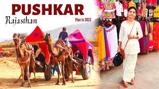 Complete Pushkar Trip Plan  Best Places to Visit  Hotels Food amp Shopping  Rajasthan In 2024 [upl. by Margarette]