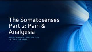 Somatosensation Pain amp Analgesia [upl. by Dumm]