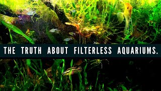 Creating A FILTERLESS AQUARIUM Using Anoxic AND Aerobic Bacteria How to Setup A Natural Fish Tank [upl. by Schwinn]