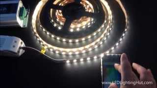 LEDLightingHut 4 In 1 RGBW SMD 5050 Flex LED Strip [upl. by Congdon]