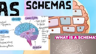 Schemas and types of schemes in social psychology [upl. by Diskson]