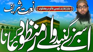 Ai Sabj gumbad wale Manzoor dua karna jab waqte Naja Aaye Didaar Ataakarnavoiceeffects allahuakba [upl. by Nortna]