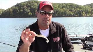 Zona Tips Swimbaits for Cold Water [upl. by Tyler]