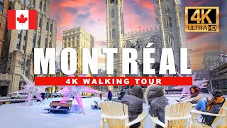 🇨🇦 Montréal Quebec Canada Walking Tour  Relaxing Winter Walkthrough  4K HDR 60fps [upl. by Nathalie]