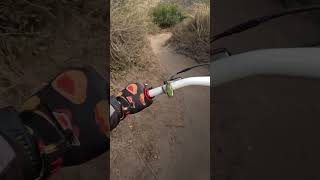 Big Drop On The Hardtail…🤯 shorts downhill mtb [upl. by Annaed370]