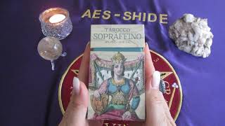 Tarocco SOPRAFFINO Edición Limitada  Anima Antiqua REVIEW en español baraja de tarot [upl. by Junna602]