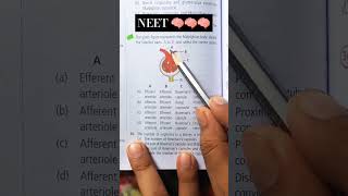 Diagram of Malpighian body and give this answer youtubeshort neet neetncertbiology [upl. by Hammad]