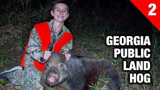 Georgia WMA Youth Deer Hunt Turns Into Hog Hunt [upl. by Ahsiuqram50]