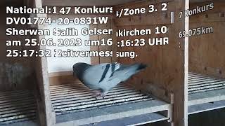 Internationaler Flug von PAU 2023 147 Konkurs NAT Zone 3 27Konkurs [upl. by Rheinlander]